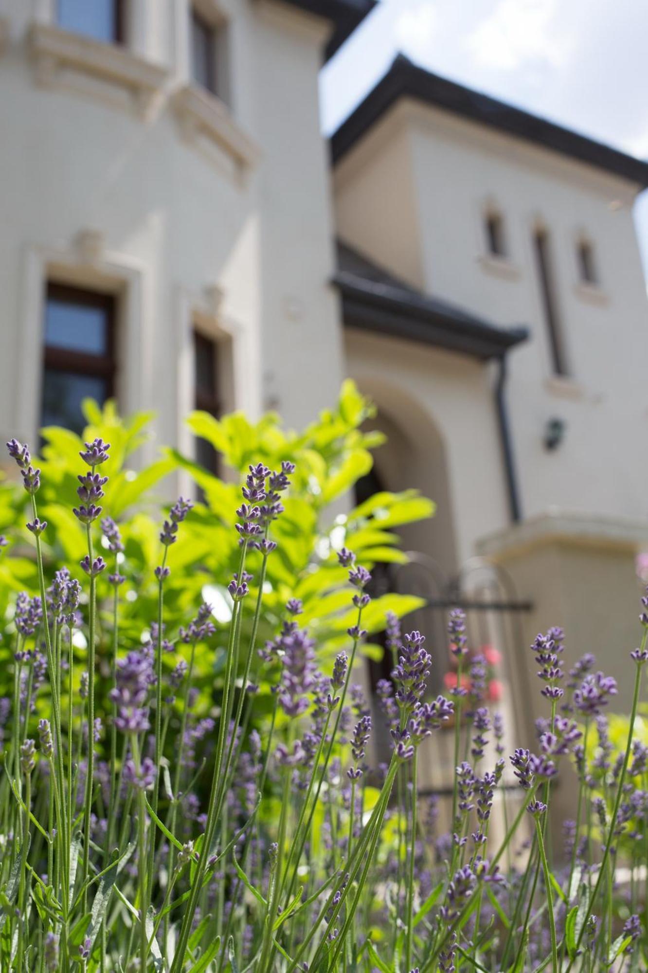 Kuria Apartman With Private Jacuzzi And Pool Budapest Exterior foto